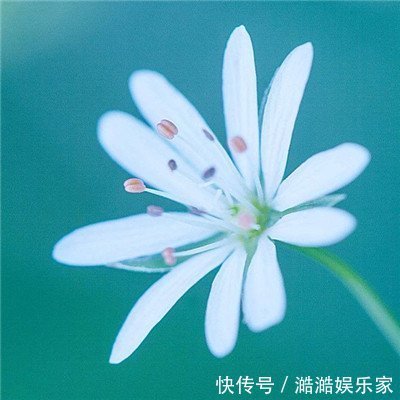 丑女人|比“摇钱树”还值钱的4大生肖女,越老越“旺夫”,一缺钱就有钱