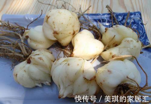 卵巢早衰|女人月经量少?多吃以下7种碱性食物,帮你补充激素,防早衰