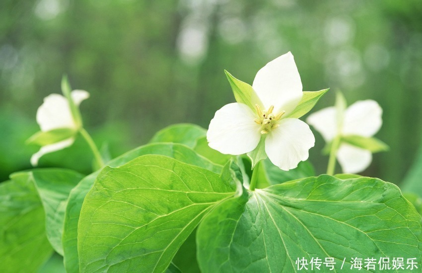 妻子|最需要妻子管的三个生肖男，越管钱家里越富有，生活的越幸福