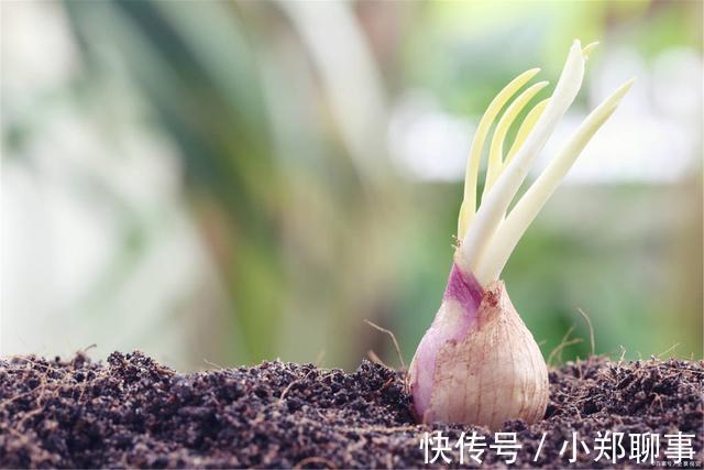 第登科@千古奇文《寒窑赋》,当你失落郁闷时,值得一看