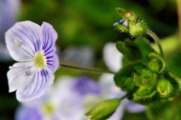 家庭|父母的嘴,决定了一个家庭的命运,说话的4个禁忌!