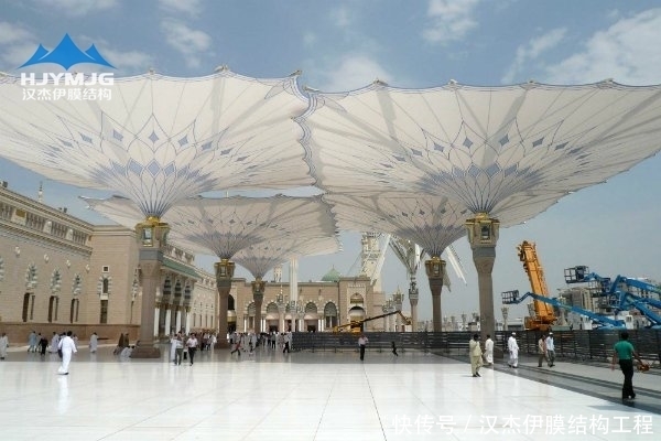 意义|膜结构的意义