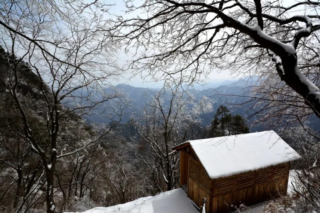 县区|初雪！周边县区雪景美图来袭！