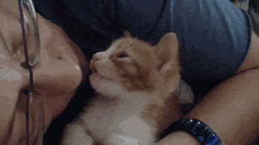 经常口臭的人，一般都逃不过这 2 个原因