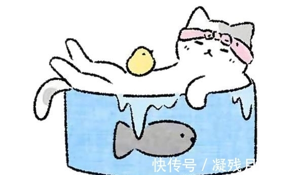 |幽默风趣的几段搞笑段子,给你的生活带来不一样的快乐!