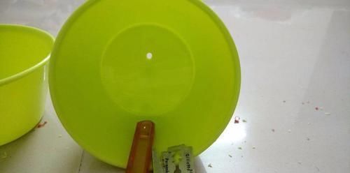 我用这方法扦插繁殖了几十盆的植物,薄荷、吊兰轻松培育