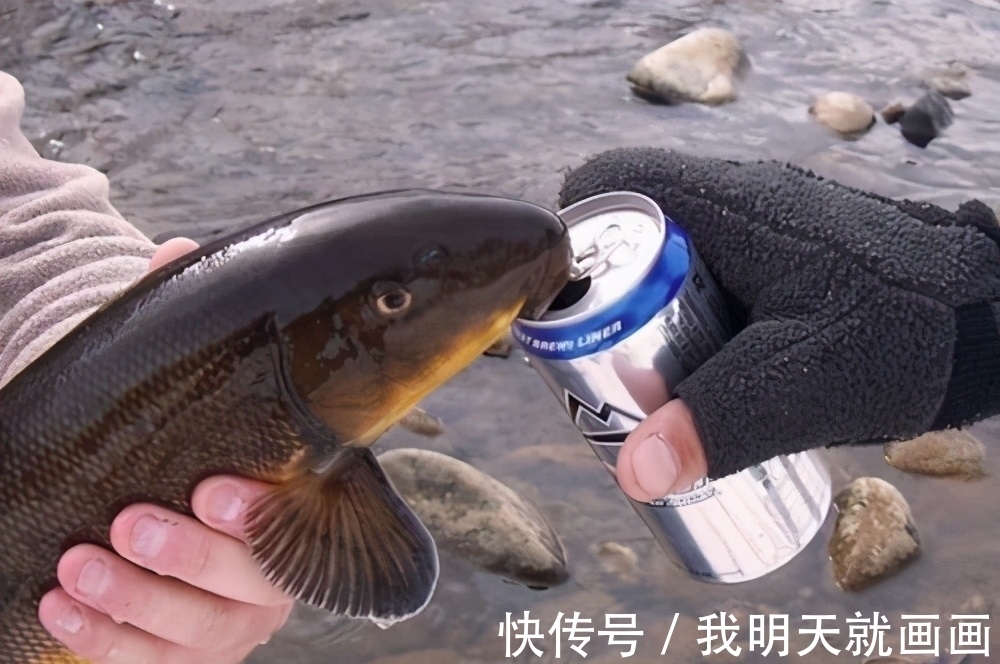 18条奇葩冷知识，课本上不一定找得到，但都是真实存在的