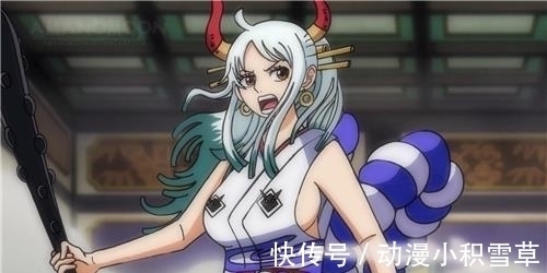 路飞|大和的恶魔果实是什么?我在日本快递上找到答案,天生克制凯多!