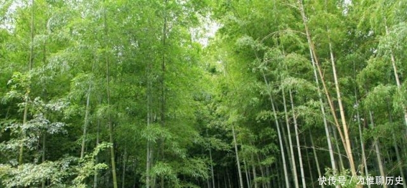 作品|范成大最经典的一首六言绝句,同样也被低估了,通篇美得令人心醉