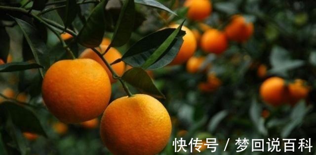 周渔璜@少女出上联十字街头叫老爷老爷老爷老老爷,乞丐的下联非常霸气!