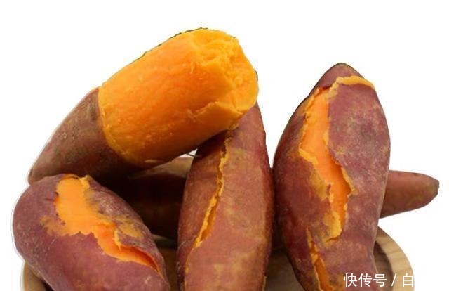 垂钓|钓了18年鱼后才明白,红薯经过这样“加工”以后,钓大鲤鱼特有效!