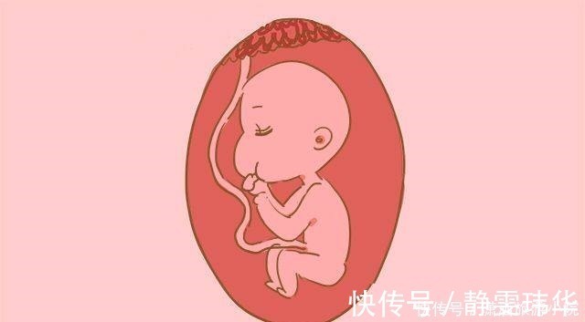 小梁|做四维时胎儿在肚子里会做这几件坏事,让孕妈又开心又担心