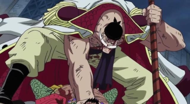 尾田|尾田雪藏了一颗恶魔果实，被路飞克制，却能完胜黑胡子