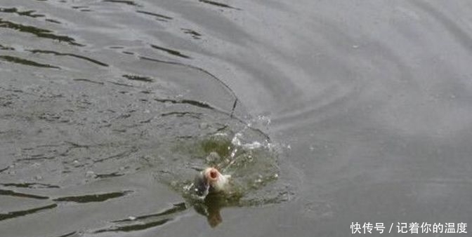 厉害了!这两种新手必看的调漂技巧果然奏效,不信就试试