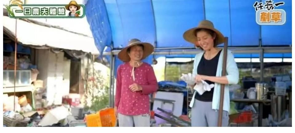 亲近|亲近大自然！陈自瑶「转行」当农夫 开启人生第一次耕田