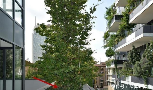 住房|成都第四代住房走红,30层高楼长满树木,每位业主都有私人庭院!