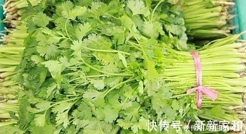 香菜|香菜虽好,但不是人人都能吃,此类人吃了对身体不好,得忌口