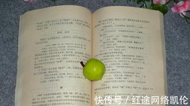 世家大族|南北朝是一个发展较快的朝代,小说发展更快,大家来了解一下吧!