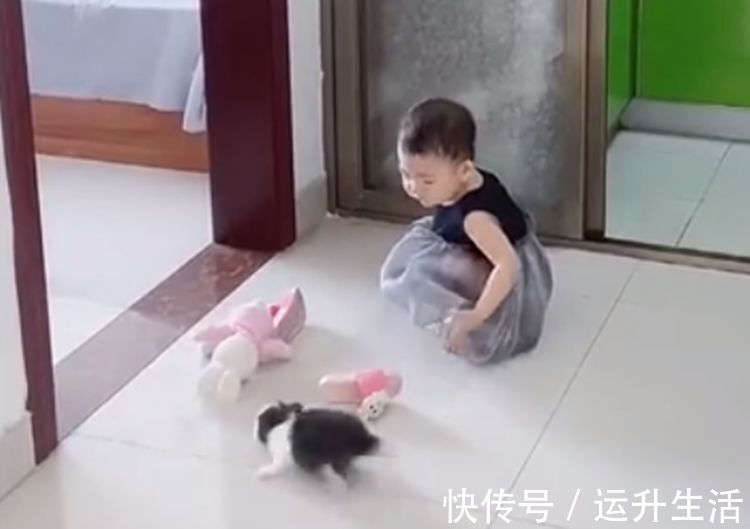 大宝|妹妹总打扰哥哥写作业,谁曾想连人带兔一起被撵出,网友:太难了