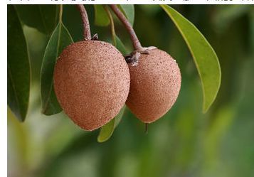 身心健康|女性想要身体好,要学会吃3种食物,补充营养,有益身体