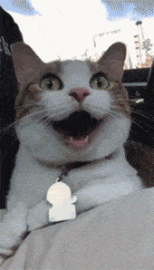 |搞笑GIF：今天带女神去表演真正的技术，实力单身