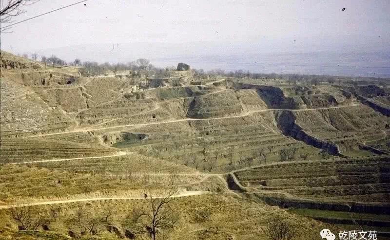 举世闻名|举世闻名的乾陵