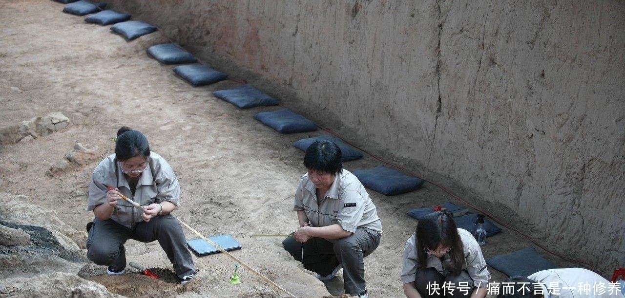 秦始皇兵马俑坑离地面很近,它下方可能还有文物,专家:不可再挖