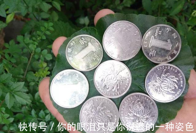 惹不起的花，叶子直径3米大，一片叶子盖住3个人