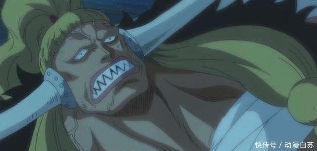 章鱼小八|海贼王：鱼人族的4颗恶魔果实，小八藏了1颗，最强2颗造就2个皇副