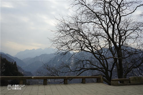 西安|西安秦岭深山古寺，从山门到大殿要走1小时，收藏绝美风景