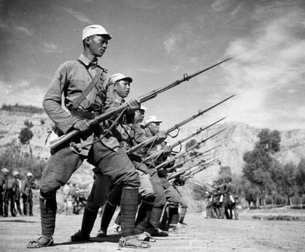 军犬|抗战时最危险的动物，哪怕仅剩一颗子弹也要把他杀了，并非军犬！