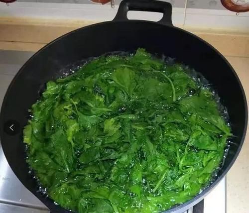  个个|生活废水才是养花宝，3种浇花，个个旺盛、茂密，比施肥好