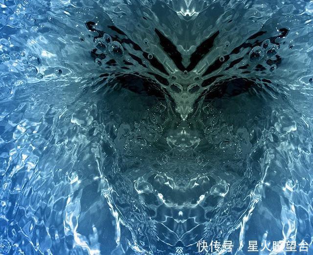 化石|伐木工人在山中伐树,切开树干后傻了,树中竟藏着“狗化石”!