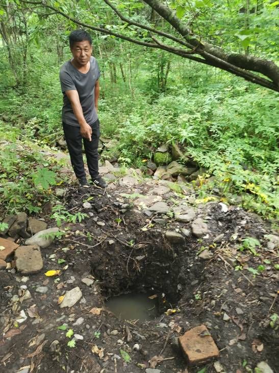 松花石|吉林发现“长白山人参”石碑 民俗专家曹保明：或为清代行帮或官员所立