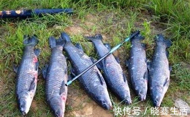 满竿|无铅钓法也叫放风筝钓法，可以钓得更远，上鱼更大，多用于黑坑