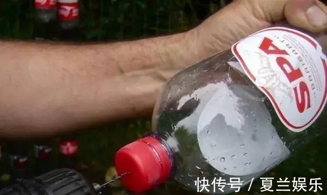 捡回7个塑料瓶,养成空中菜园,变废为宝,吃上绿色蔬菜