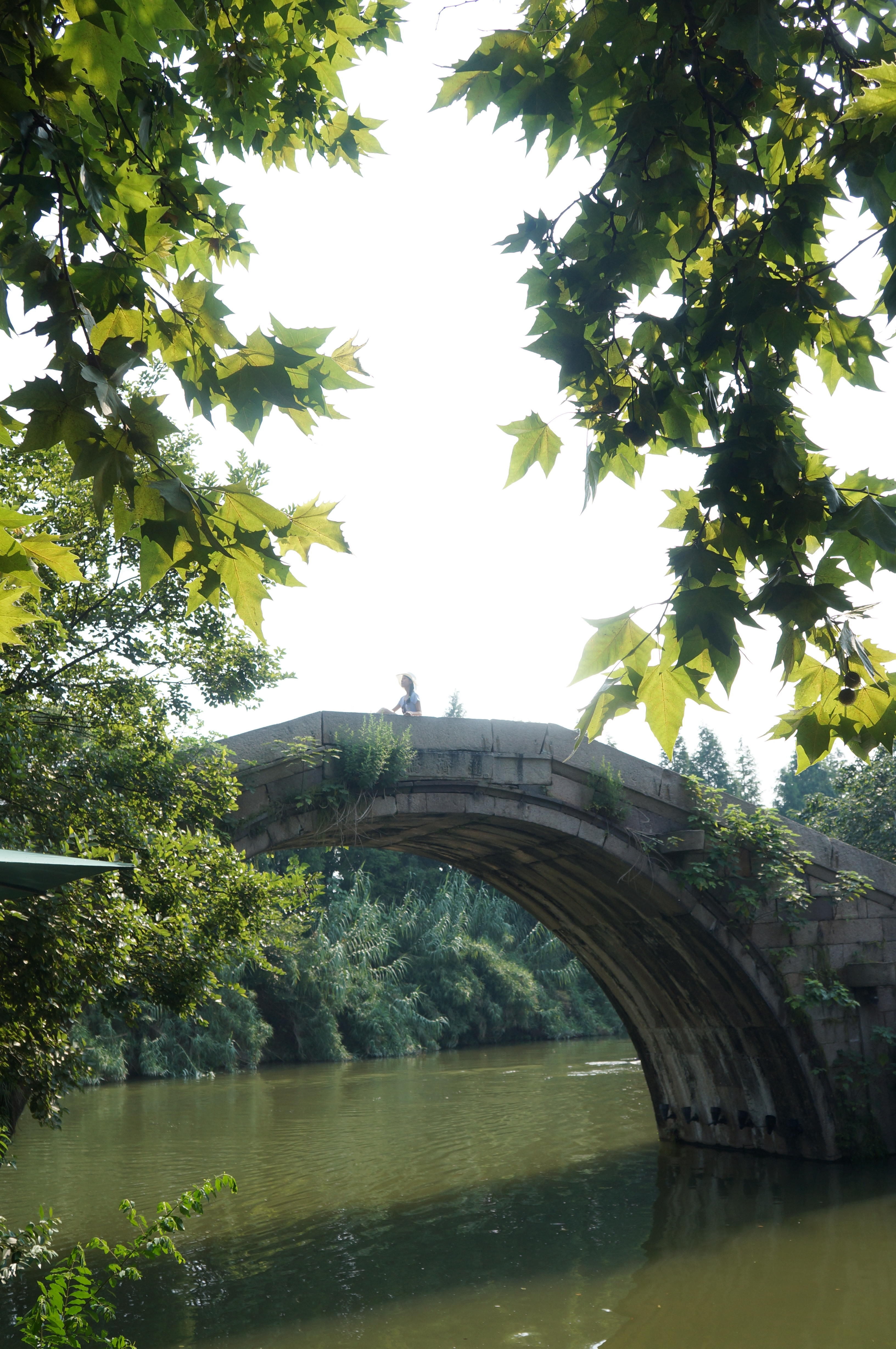 乌镇|江南水乡乌镇 西栅 （中）