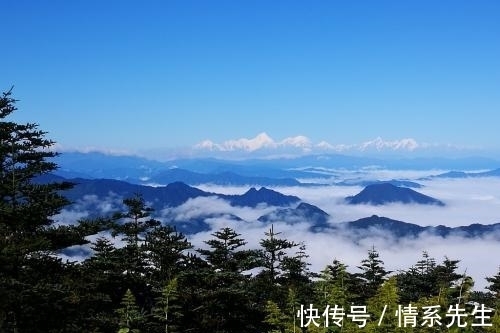 禅诗#王安石的两首禅诗，心无牵挂，更彰显了隐居生活的洒脱和从容