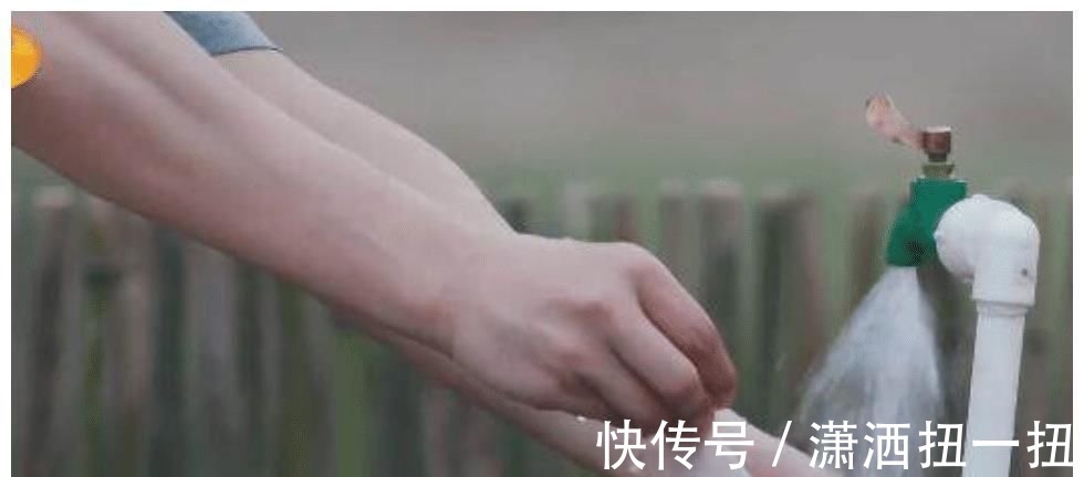 何老师|何炅从地上捡起小H叼的肉,打算洗洗煮了吃,张艺兴的做法好耿直