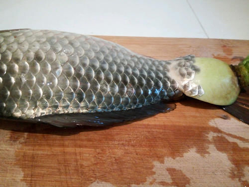 去鱼鳞原来很简单，只需一个塑料袋，干净卫生不脏手，真实用