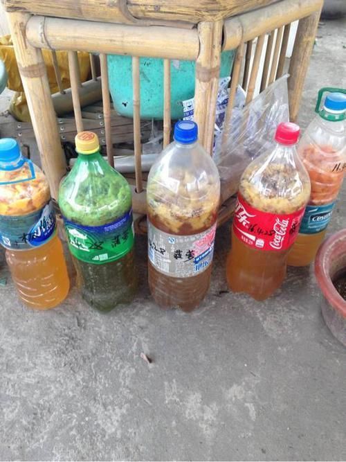 吃完的橘子皮,柚子皮,不要丢,切碎装瓶子里,秒变天然肥