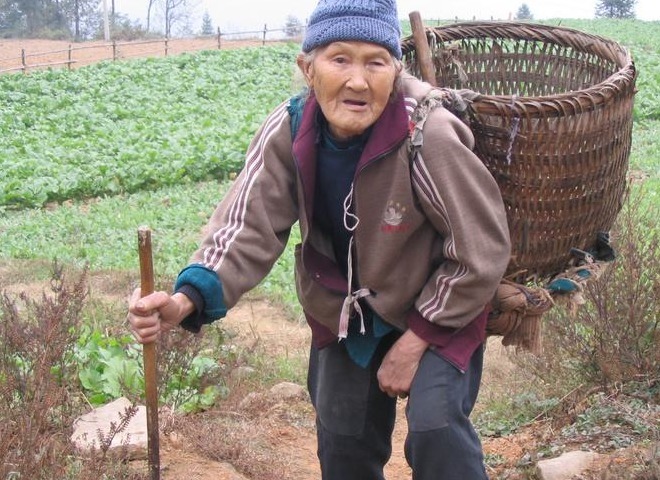 五脏|一碗“孝心汤”，温养脾胃，调和五脏六腑，送给天下老人！