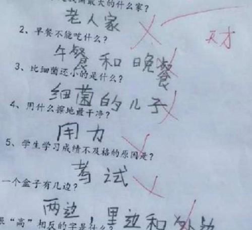 语文老师|小学生“倒数第一”试卷走红，想象力超越同龄人智慧，老师：放学别走