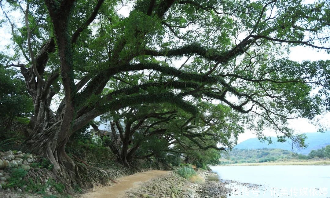 游永泰 逛庄寨 在山水田野间，寻找梦中的诗意与远方