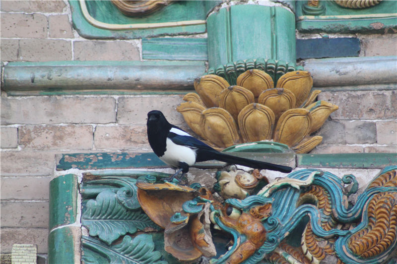 历史悠久广胜寺，美轮美奂飞虹塔，辛酸过往让人恨