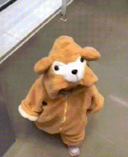 |搞笑GIF:放开我,我是一只从良狗啊