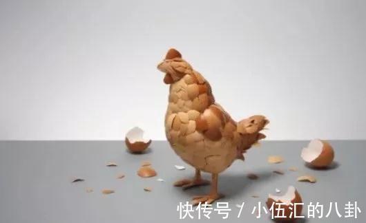 钟老师|“一只鸡的尊严”,1个故事告诉你:低级快乐,正在毁掉无数孩子