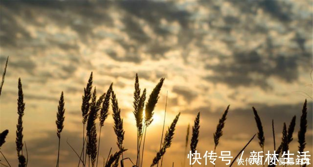 李纯$刘禹锡的思乡之作感人至深,第一句就耐人寻味,有着淡淡的忧伤!