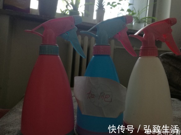 防虫|大蒜养花好处多,杀虫杀菌,花长得快、不烂根!