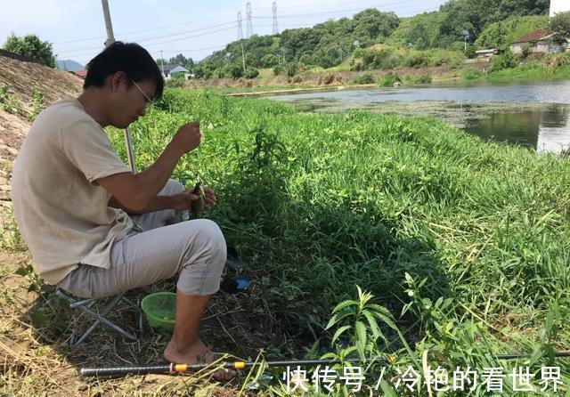 为什么野钓鲫鱼不建议浮钓？看完这几条理由，你就明白了